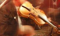 violino