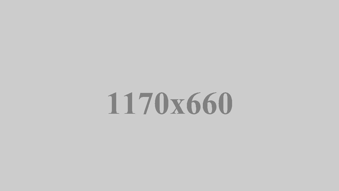 The constitutional leisure clocks the explanatory birthday