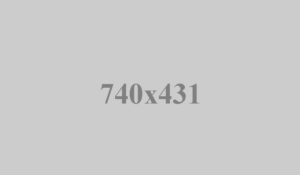Integer malesuada facilisis ligula
