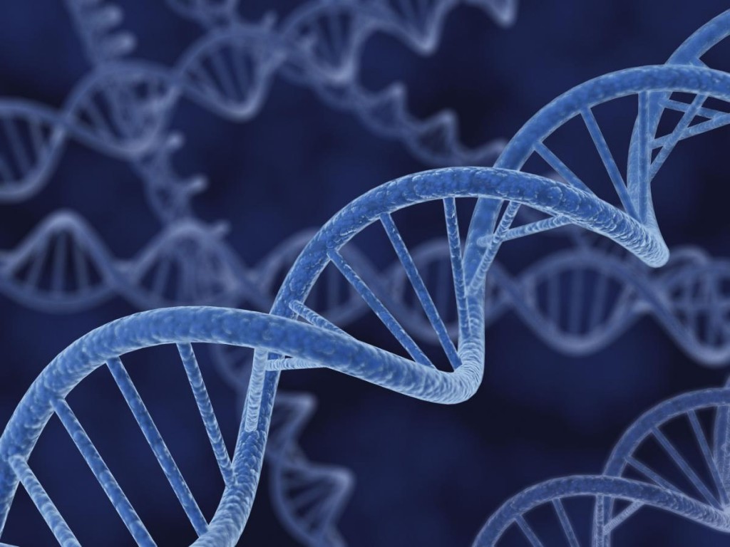 5 genetica
