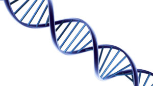 duchenne_masterclass