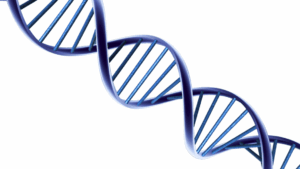 duchenne_masterclass