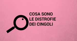 CINGOLI