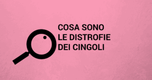 CINGOLI