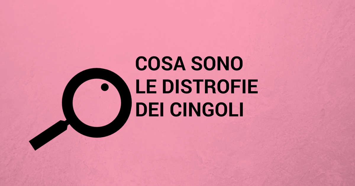 CINGOLI