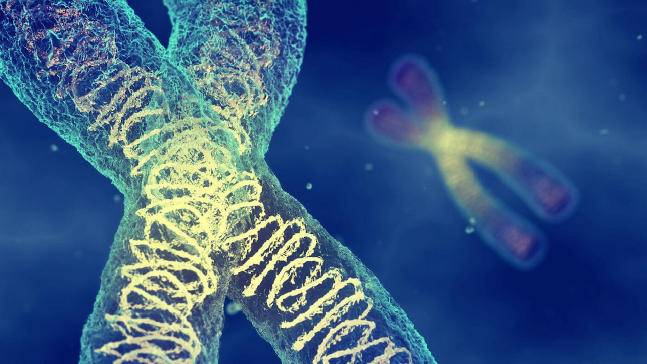 gene