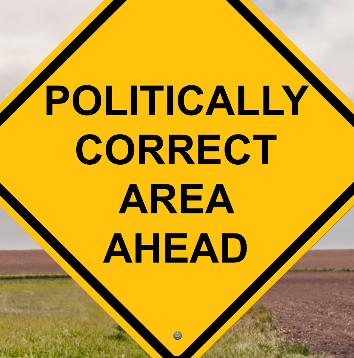 politica