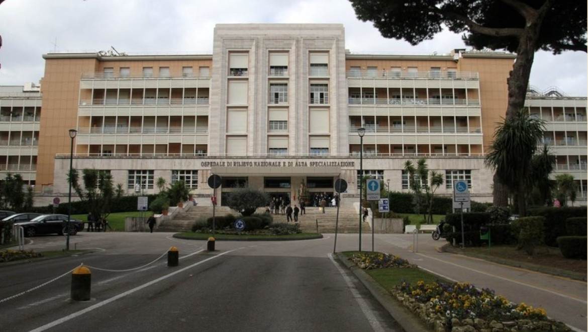 monaldinapolinemo