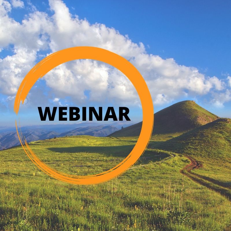 webinar turismo uildm