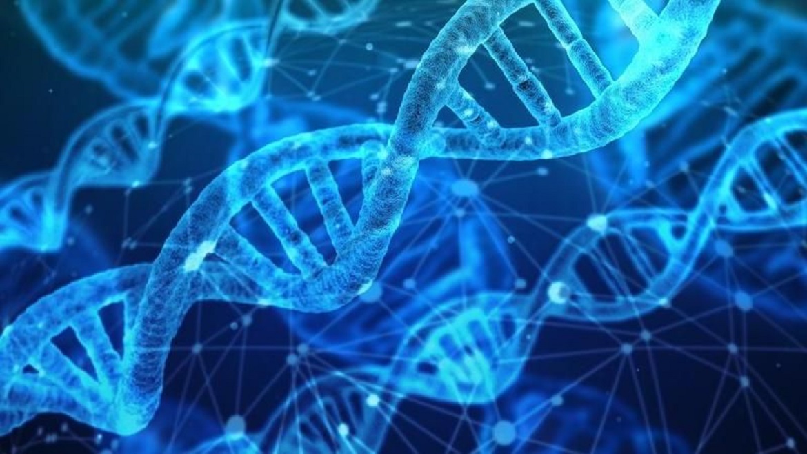 dna