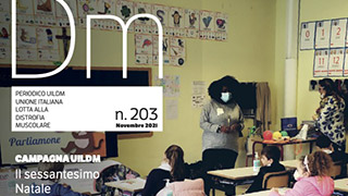 dm203_box