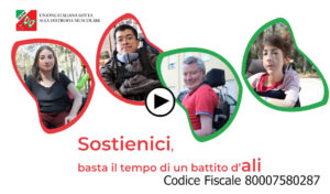 5X1000_VIDEO